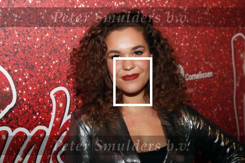 Amsterdam 11 november 2019
Premiere Kinky boots in theater de Meervaart. Annefleur v d Berg
