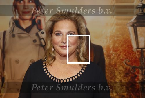 Amsterdam 14 oktober 2019
Premiere Wat is dan liefde in Tuschinski. Anneke Blok