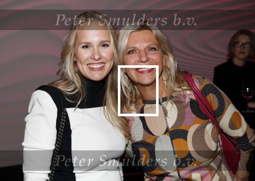 Amsterdam 12 november 2019
Presentatie nieuwe Nouveau met Leco v Zadelhoff als gast hoofdredakteur. De presentatie vond plaats in hotel The Dylan . Anneliese Bergman met â€¦