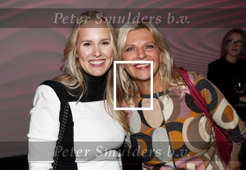 Amsterdam 12 november 2019
Presentatie nieuwe Nouveau met Leco v Zadelhoff als gast hoofdredakteur. De presentatie vond plaats in hotel The Dylan . Anneliese Bergman met â€¦