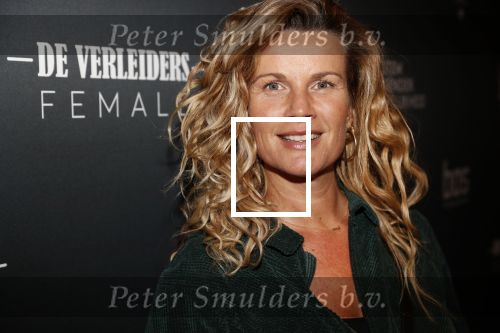 Amsterdam 6 november 2019
Premiere de verleiders in het nieuwe deLamar theater. Annette Barlo