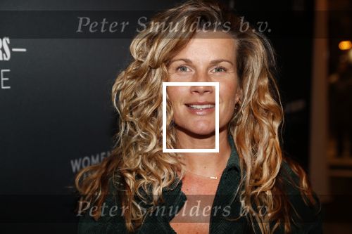 Amsterdam 6 november 2019
Premiere de verleiders in het nieuwe deLamar theater. Annette Barlo