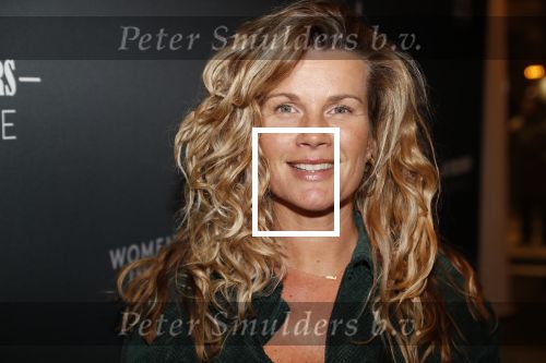 Amsterdam 6 november 2019
Premiere de verleiders in het nieuwe deLamar theater. Annette Barlo