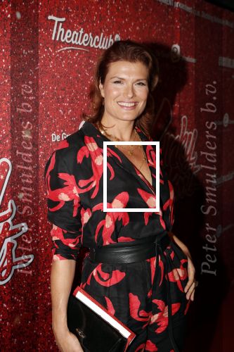 Amsterdam 11 november 2019
Premiere Kinky boots in theater de Meervaart. Anouk v Nes met partner