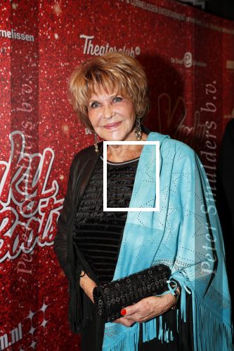 Amsterdam 11 november 2019
Premiere Kinky boots in theater de Meervaart.Astrid Engels met een kennis