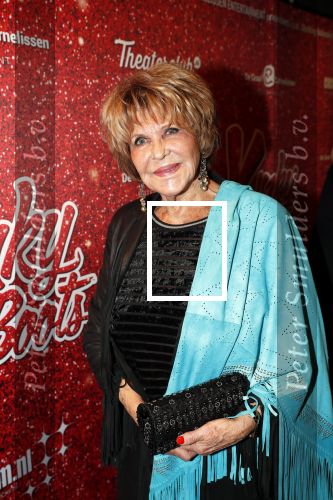 Amsterdam 11 november 2019
Premiere Kinky boots in theater de Meervaart.Astrid Engels met een kennis