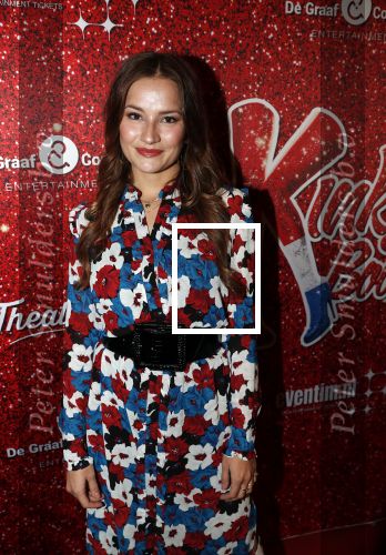 Amsterdam 11 november 2019
Premiere Kinky boots in theater de Meervaart. barbara Sloesen en Stijn Fransen