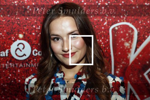Amsterdam 11 november 2019
Premiere Kinky boots in theater de Meervaart. barbara Sloesen en Stijn Fransen