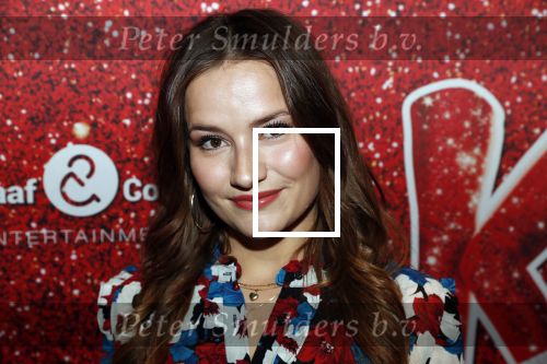 Amsterdam 11 november 2019
Premiere Kinky boots in theater de Meervaart. barbara Sloesen en Stijn Fransen