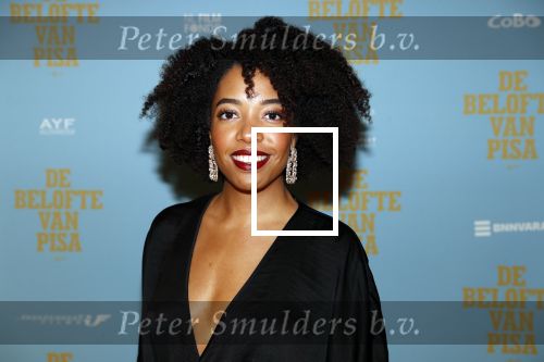 Amsterdam 7 oktober 2019
Premiere de belofte van Pisa in Tuschinski.