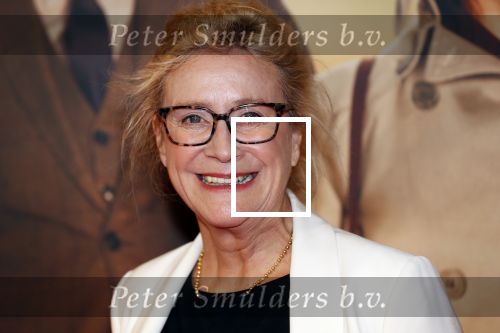 Amsterdam 14 oktober 2019
Premiere Wat is dan liefde in Tuschinski. Beppie Melissen