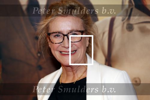 Amsterdam 14 oktober 2019
Premiere Wat is dan liefde in Tuschinski. Beppie Melissen
