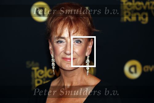 Amsterdam 9 oktober 2019
Uitreiking televizierring 2019 in AFAS Live. Berdien Stenberg