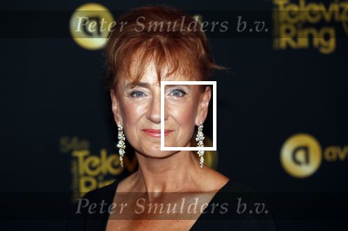 Amsterdam 9 oktober 2019
Uitreiking televizierring 2019 in AFAS Live. Berdien Stenberg