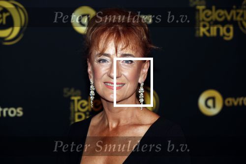 Amsterdam 9 oktober 2019
Uitreiking televizierring 2019 in AFAS Live. Berdien Stenberg