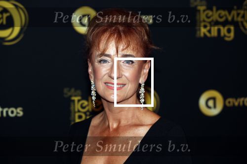 Amsterdam 9 oktober 2019
Uitreiking televizierring 2019 in AFAS Live. Berdien Stenberg