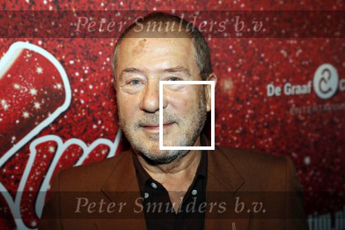 Amsterdam 11 november 2019
Premiere Kinky boots in theater de Meervaart. Bill v Dijk
