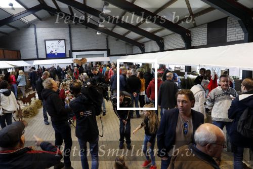 Boekel 19 oktober 2019
Meerdere boeren van boer zoekt vrouw stan op een mini markt in de stallen van Boerin Steffi