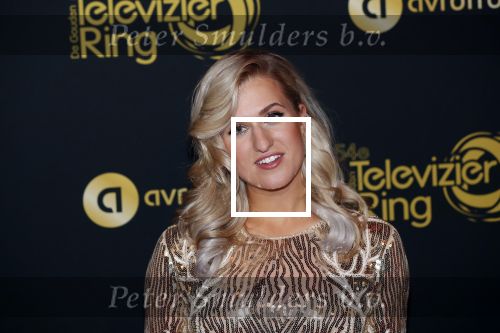 Amsterdam 9 oktober 2019
Uitreiking televizierring 2019 in AFAS Live. Britt Dekker