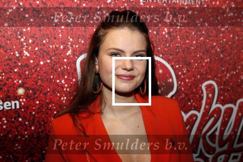 Amsterdam 11 november 2019
Premiere Kinky boots in theater de Meervaart. Britt Scholte