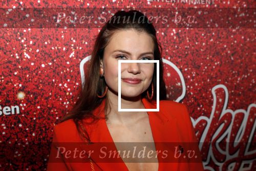 Amsterdam 11 november 2019
Premiere Kinky boots in theater de Meervaart. Britt Scholte