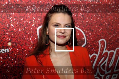 Amsterdam 11 november 2019
Premiere Kinky boots in theater de Meervaart. Britt Scholte