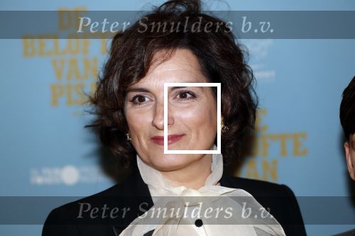 Amsterdam 7 oktober 2019
Premiere de belofte van Pisa in Tuschinski. Carly Wijs kwam met haar zoon