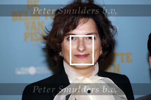 Amsterdam 7 oktober 2019
Premiere de belofte van Pisa in Tuschinski. Carly Wijs kwam met haar zoon
