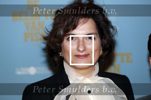 Amsterdam 7 oktober 2019
Premiere de belofte van Pisa in Tuschinski. Carly Wijs kwam met haar zoon