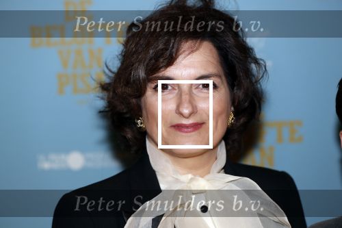 Amsterdam 7 oktober 2019
Premiere de belofte van Pisa in Tuschinski. Carly Wijs kwam met haar zoon
