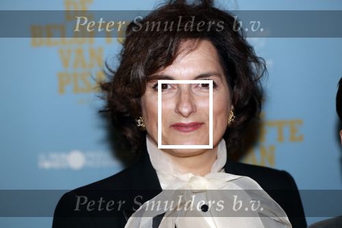 Amsterdam 7 oktober 2019
Premiere de belofte van Pisa in Tuschinski. Carly Wijs kwam met haar zoon