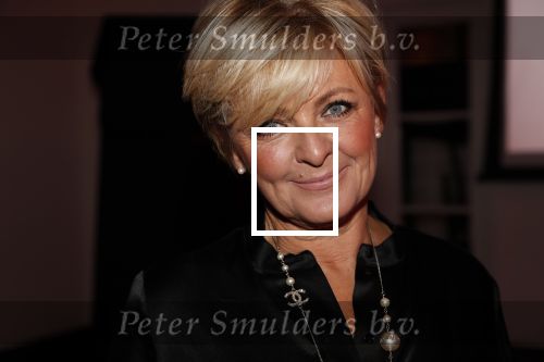 Amsterdam 12 november 2019
Presentatie nieuwe Nouveau met Leco v Zadelhoff als gast hoofdredakteur. De presentatie vond plaats in hotel The Dylan . Caroline Tensen