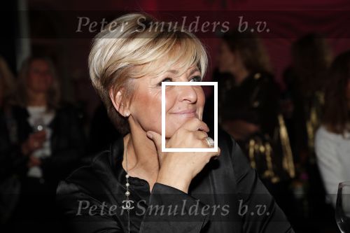 Amsterdam 12 november 2019
Presentatie nieuwe Nouveau met Leco v Zadelhoff als gast hoofdredakteur. De presentatie vond plaats in hotel The Dylan . Caroline Tensen