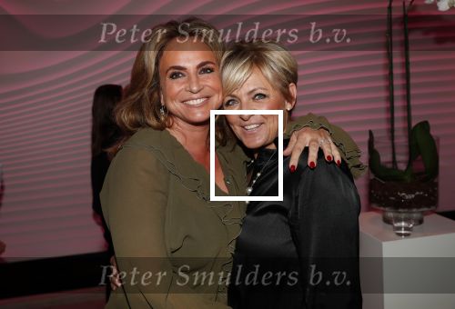 Amsterdam 12 november 2019
Presentatie nieuwe Nouveau met Leco v Zadelhoff als gast hoofdredakteur. De presentatie vond plaats in hotel The Dylan . Caroline Tensen en Patricia Groenewoud