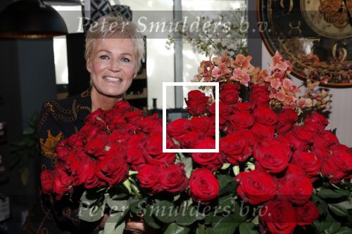 Zwijndrecht 3 november 2019
Caroline v Eeden werkt een dag bij interieurwinkel Josi .