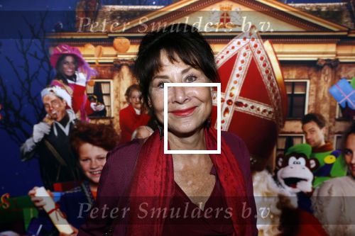Amsterdam 5 oktober 2019
Premiere Sinterklaasfilm in pathe Arena . Caroline v d Berg
