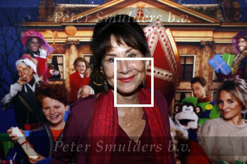 Amsterdam 5 oktober 2019
Premiere Sinterklaasfilm in pathe Arena . Caroline v d Berg