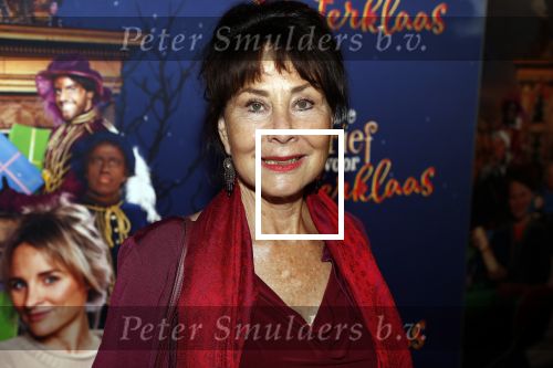 Amsterdam 5 oktober 2019
Premiere Sinterklaasfilm in pathe Arena . Caroline v d Berg