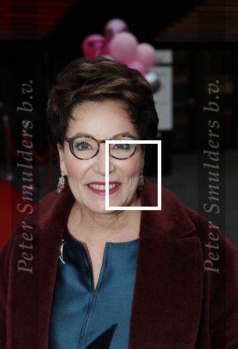 Hilversum 7 oktober 2019
Gala voor breast care foundation in studio 21. Carry Knoops