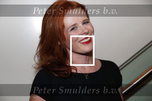 Amsterdam 6 november 2019
Premiere de verleiders in het nieuwe deLamar theater. Christine de Boer zwanger met partner