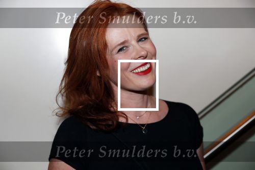 Amsterdam 6 november 2019
Premiere de verleiders in het nieuwe deLamar theater. Christine de Boer zwanger met partner