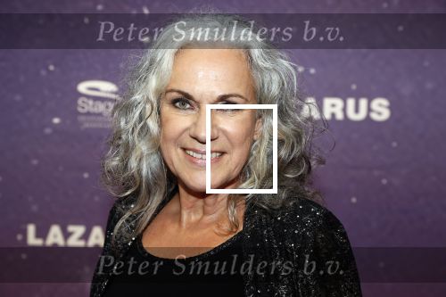 Amsterdam 13 oktober 2019
Premiere Lazarus in het deLamar theater. Cilly Dartell met man