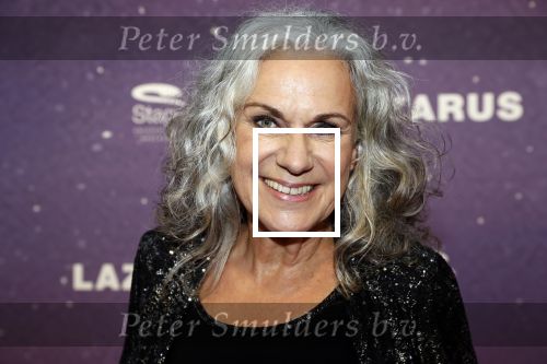 Amsterdam 13 oktober 2019
Premiere Lazarus in het deLamar theater. Cilly Dartell met man