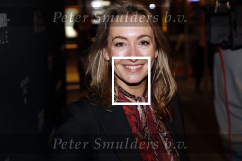 Amsterdam 6 november 2019
Premiere de verleiders in het nieuwe deLamar theater. Cynthia Abma