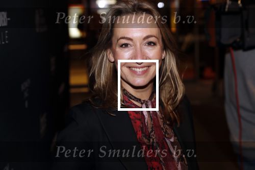 Amsterdam 6 november 2019
Premiere de verleiders in het nieuwe deLamar theater. Cynthia Abma