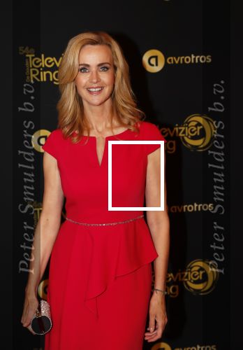 Amsterdam 9 oktober 2019
Uitreiking televizierring 2019 in AFAS Live. Daphne Deckers