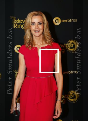 Amsterdam 9 oktober 2019
Uitreiking televizierring 2019 in AFAS Live. Daphne Deckers