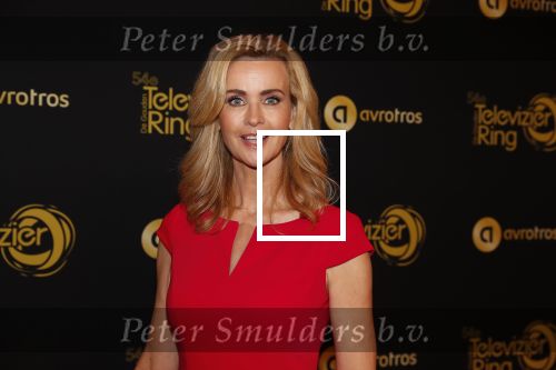 Amsterdam 9 oktober 2019
Uitreiking televizierring 2019 in AFAS Live. Daphne Deckers