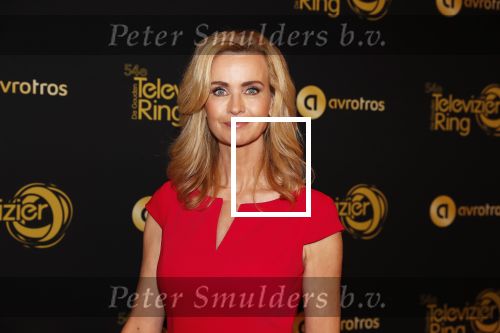 Amsterdam 9 oktober 2019
Uitreiking televizierring 2019 in AFAS Live. Daphne Deckers