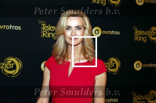 Amsterdam 9 oktober 2019
Uitreiking televizierring 2019 in AFAS Live. Daphne Deckers